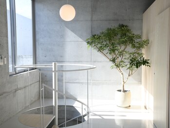 クーイー ジリーアイ(cooey. gillyeye)/