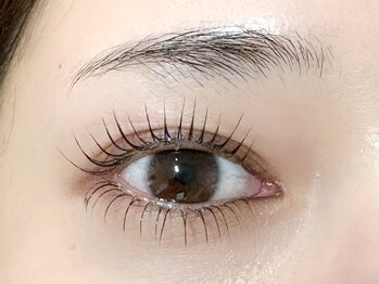 サニーラッシュ(32Lash)/L3ラッシュリフト上下