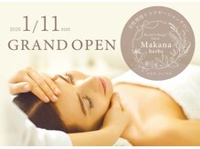 マカナハーブス 吉祥寺(Makana herbs)の雰囲気（吉祥寺の中道通りに大人女性の隠れ家サロンをオープンしました！）