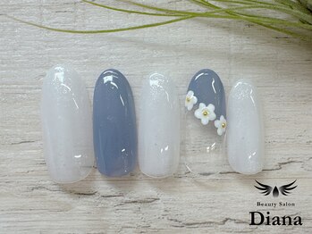 ディアナ 日立多賀店(DIANA)/H1-034　定額ネイル　5980円