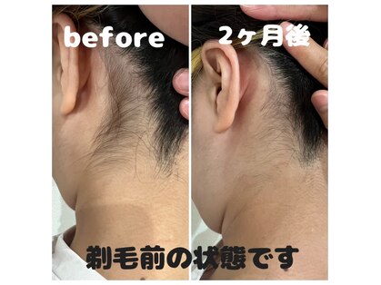 ポノ(Pono)の写真