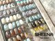 シーナ 都立大学(SHEENA)の写真