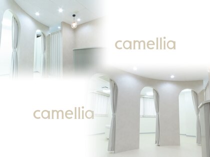 カメリア(camellia)の写真