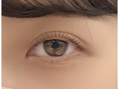 カロン(kalon)の写真
