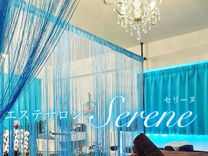 セリーヌ(serene)の写真