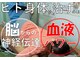 ランウォーク 宝塚逆瀬川院(RunWalk)の写真