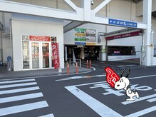 ウィスタリア フィールドプランシュ(WISTARIA FIELD-PLANCHES)/ご案内２