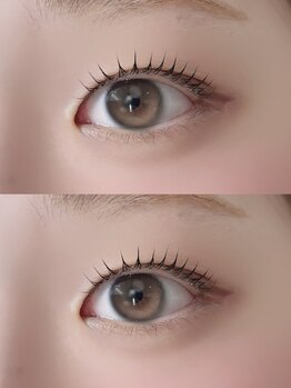 シイプ(SHE:P)/タニムラ担当パリジェンヌ