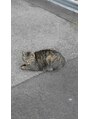 サロンドットクッキー 大阪上本町(Salon.Cookie) 猫派です^._.^