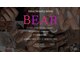 ベア(bear)の写真