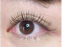 ウルカ アイラッシュ(uruka EYELASH)/フラットラッシュ　100本