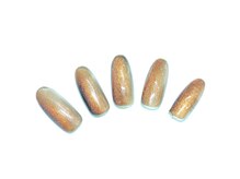 ビーケア 自由が丘店(B.care)/フラッシュネイル￥7480