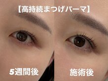 ラシサ(LASHISA)の雰囲気（綺麗が続く高持続まつ毛パーマ│5～６週間続く美カール！）