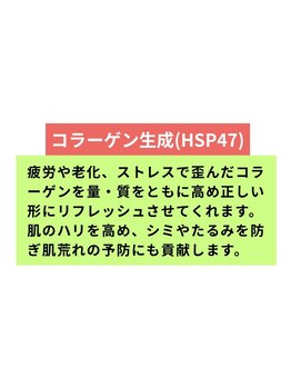 ヘルディン(heldin +555)/コラーゲン生成