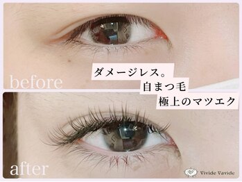 ビビデバビデ 月島店(Vivide Vavide)の写真/【本数無制限つけ放題】柔らかさ/軽さ/装着感に感動。自まつ毛の延長のような濃さ長さで『ナチュラル盛り』