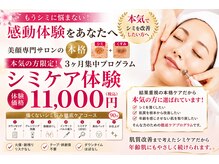 ソルシエールの雰囲気（もうシミに悩まない！感動体験をあなたへ）