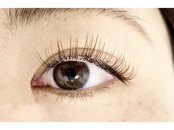 シック(Chic)/All color 120本