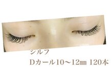 シルフ 石橋店(Sylph)/セクシースタイル