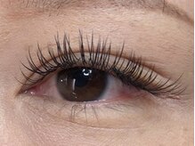 ウルカ アイラッシュ(uruka EYELASH)/フラットラッシュ　160本