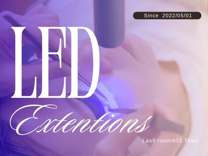 ラッシュ ルーム 403 テア(Lash room 403 Thea)の写真