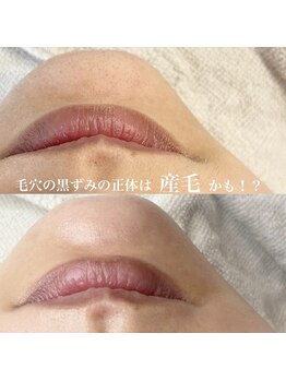 プリュム(plume)/ワックス