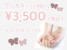 【フットネイル】ワンカラー