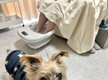 リリー(Lily)/フットバス中♪