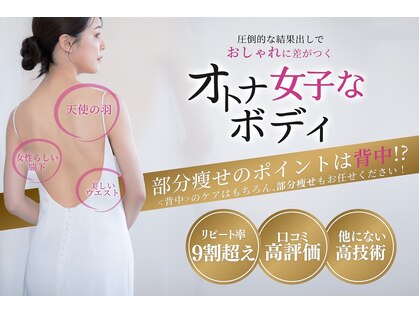 パピヨン(Papillon)の写真