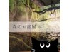 初回20％割引★7月10名限定/残り6名★【森の部屋】巡 75分 ￥13800→￥11040