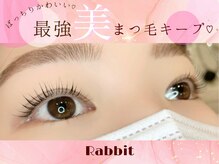 ラビットプラス(Rabbit+)/