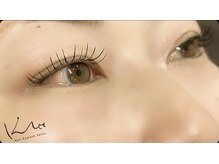 クレー(Klee)/フラットラッシュ120本