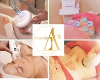 アルメリア(Armeria)