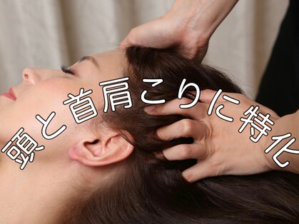 癒しの森の写真