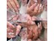 ジェニージェイ ネイルスタジオ(jennie.j nail studio)の写真/ワンホン/ガーリーなロングネイルで指長効果◎女の子の指先を華やかに彩ります☆