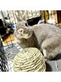 ネイルサロン アウル(Nail Salon OWL)&nbsp;うさぎを飼ってます！かわいい☆