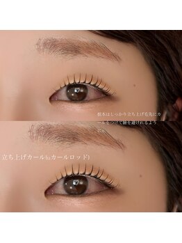 コア(Core)/根元しっかり立ち上げデザイン