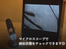 カピリナ(KaPilina)の雰囲気（施術前後の頭皮状態をマイクロスコープでチェック♪）