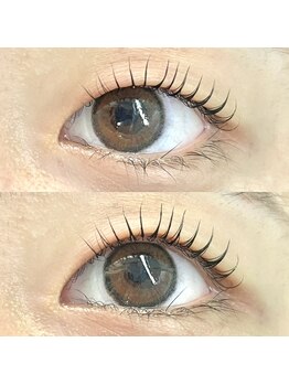 サロングレイス(Salon Grace)/ムルカラロット