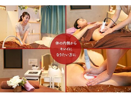 ロータス(Lotus)の写真