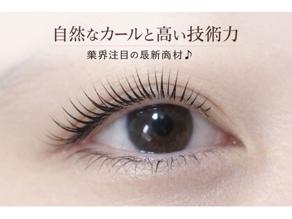 フォーリーフ four leafの写真