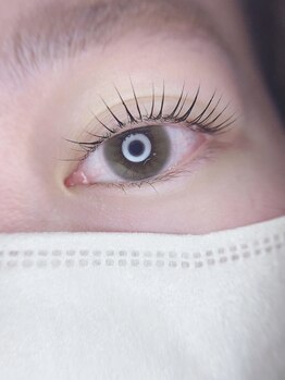 リーベル(Liebelle)/Lash lift