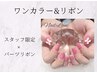 限定オフ無料【ネイリスト限定】ワンカラー&リボンネイルORストーン