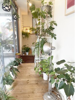 松山美容整体院/院内の様子