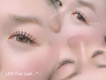 アイラッシュ モトカ(Motoka)/LEDフラットラッシュ