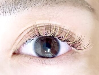 ミニョンアイラッシュデザインサロン 金剛店/色を楽しむ♪