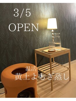 サロンディア(SALON Dea)/黄土よもぎ蒸し