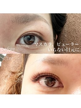 メル アイラッシュ(mer eyelash)/3Dボリュームラッシュ120束