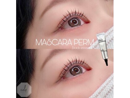 シエロ(cielo)の写真