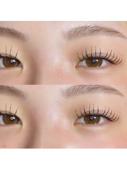 プリート(Pulito)/フラットラッシュ120本