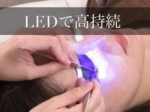 まつげエクステ専門店 クレイン(CRANE)/LED技術でモチがよくなります